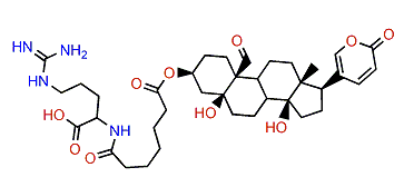 3-(N-Pimeloyl argininyl)-hellebrigenin